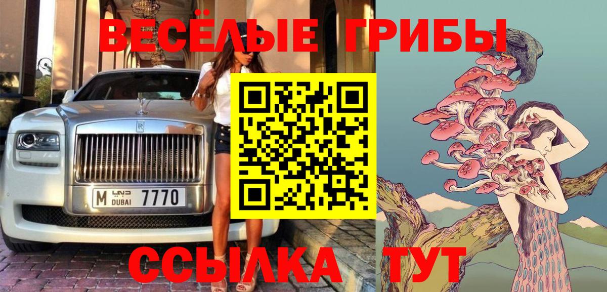 Галлюциногенные грибы Cubensis Алексеевка
