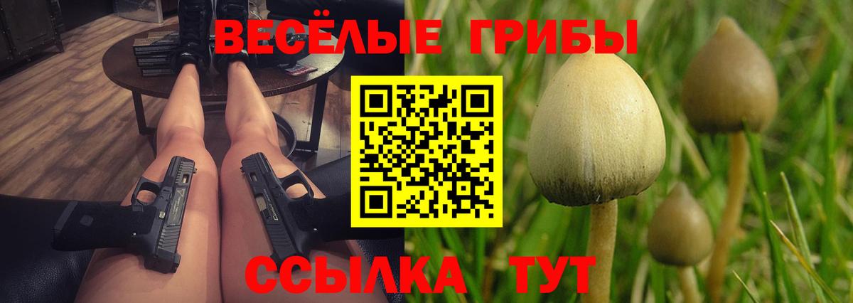 Галлюциногенные грибы мухоморы  Псилоцибиновые грибы GOLDEN TEACHER  Алексеевка  Вход с VPN 