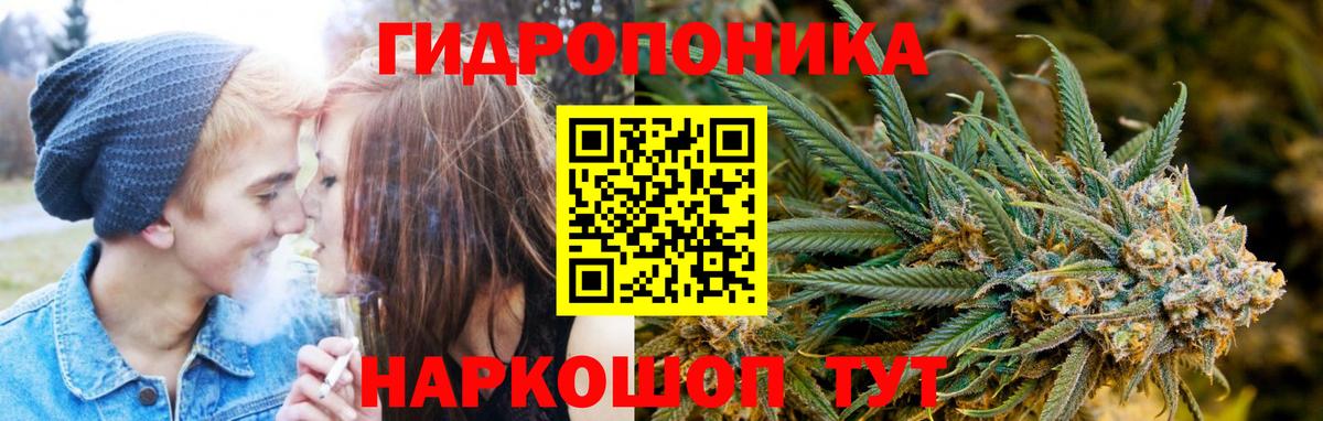 Алексеевка  Шишки марихуана AK-47  Вход с VPN  Бошки Шишки White Widow 